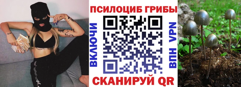 OMG как зайти  Реж  Псилоцибиновые грибы мухоморы  наркотики 