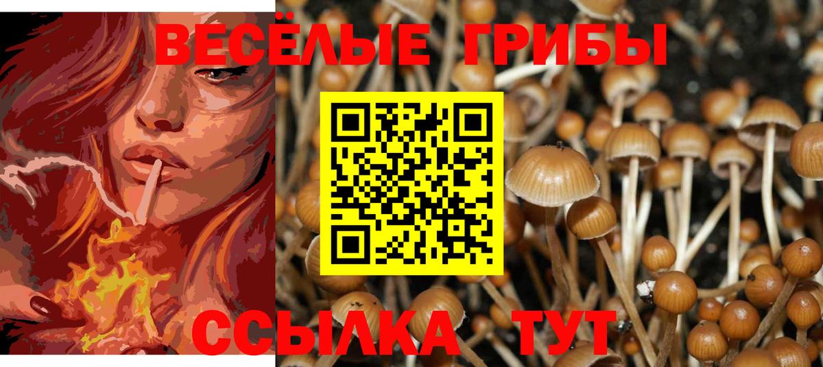 Реж  Галлюциногенные грибы MAGIC MUSHROOMS  Вход с VPN  Галлюциногенные грибы ЛСД 